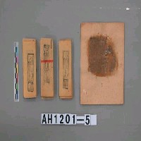 藏品(精神經)的圖片